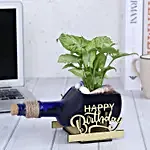 Happy Birthday Plant & Butterscotch Cake Combo