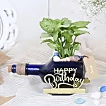 Happy Birthday Syngonium Plant & Cake Combo