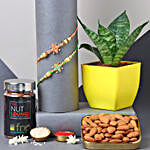 Sneh Designer Rakhi Set & Snake Plant With Almonds