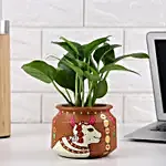 Foliage Money Plant in a White Pot