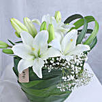 Serene White Lilies And Chocolates Combo