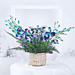 Mythic Beauty Orchids & Daisies Flower Basket