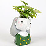 Green Syngonium Plant In Raisin Pot