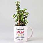 Jade Plant In Personalised Mug For Mother's Day