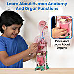 Smartivity Human Body Germ Buster DIY Kit