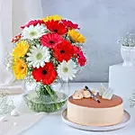 Spring Colours Vase & Luscious Cake
