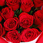 Valentine's Velvet Roses