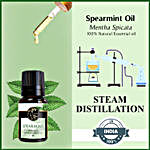 Spearmint Serenity Essential Oil