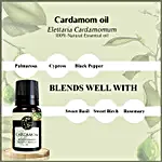 Cardamom Elegance Essential Oil- 10ml