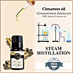 Cinnamon Harmony Essential Oil