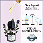 Clary Sage Serenity Essential Oi