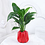 Peace Lily Plant In Red Designer Pot