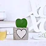 Hoya Plant Personalised Heart Pot