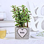 Jade Plant In Personalised Heart Planter