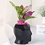 Green Aglaonema Plant With Black Pot