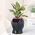 Green Aglaonema Plant With Black Pot