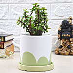 Jade Plant In Abstract Spring Pot