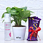 Money Plant & Indulgent Goodies Gift