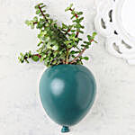 Jade Plant In Balloon Shape Pot