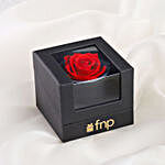 Red Forever Rose Gift Box- Hand Delivery