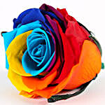 Mystic Forever Rainbow Rose in Velvet Box