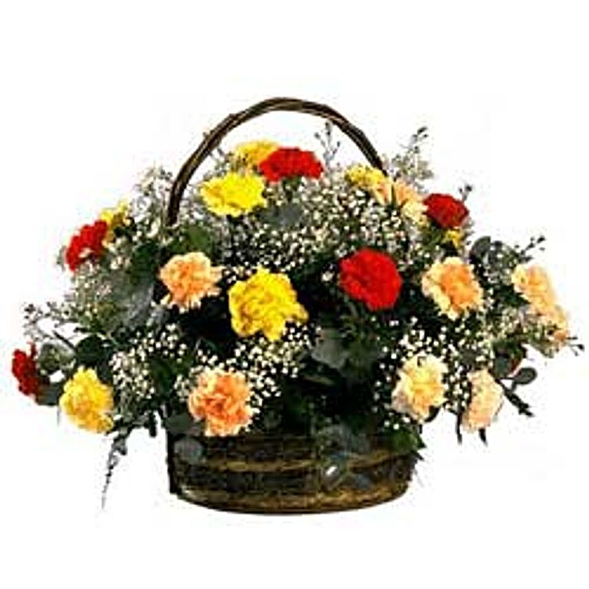 Rainbow Carnation Basket SA