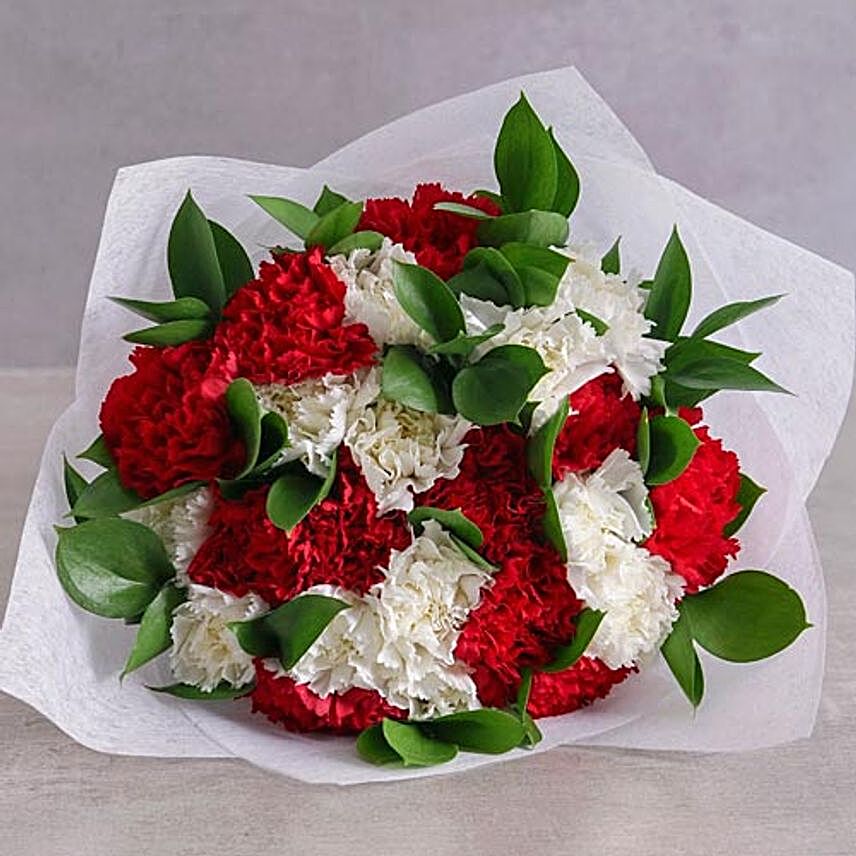 Striking Red And White Carnations