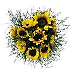 Sunflower Smiles  SA