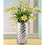 St Joseph Lilies In A Silver Twirl Vase