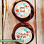Good Luck Cupcakes