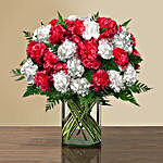 Lovely Carnations