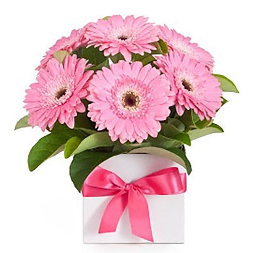 Beautiful Pink Gerberas Vase Arrangement