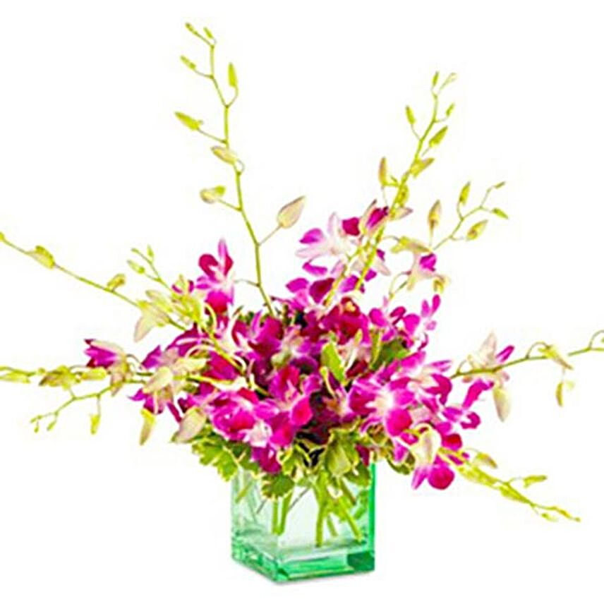 Beautiful Purple Orchids Vase Arrangement