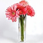 Pink Gerberas Vase Arrangement