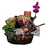Mistletoe Christmas Gift Basket