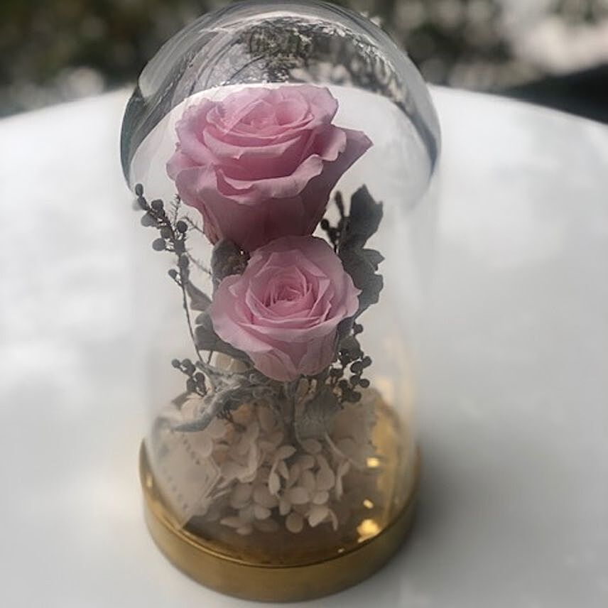 Elegant Preserved Roses Glass