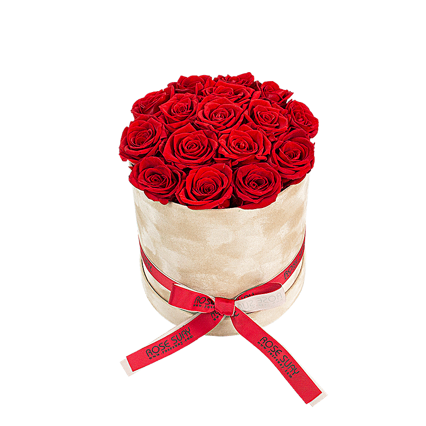 Red Eternity Roses Round Velvet Box