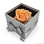 Elegant Orange Forever Rose In Box