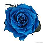 Forever Blue Rose In Dome Box