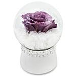 Forever Purple Rose In Dome Box