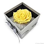 Forever Yellow Rose In Dome Box