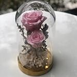 Elegant Preserved Roses Glass