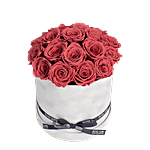Blush Red Forever Roses Velvet Box