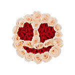 Emoji Design Forever Roses Box