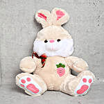 Cuddly Rabbit Teddy Bear