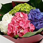 Beautiful 4 Colour Hydrangea Bouquet