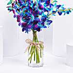 Mesmerizing Blue Orchids