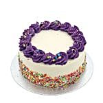 Captain Purple Confetti Cake