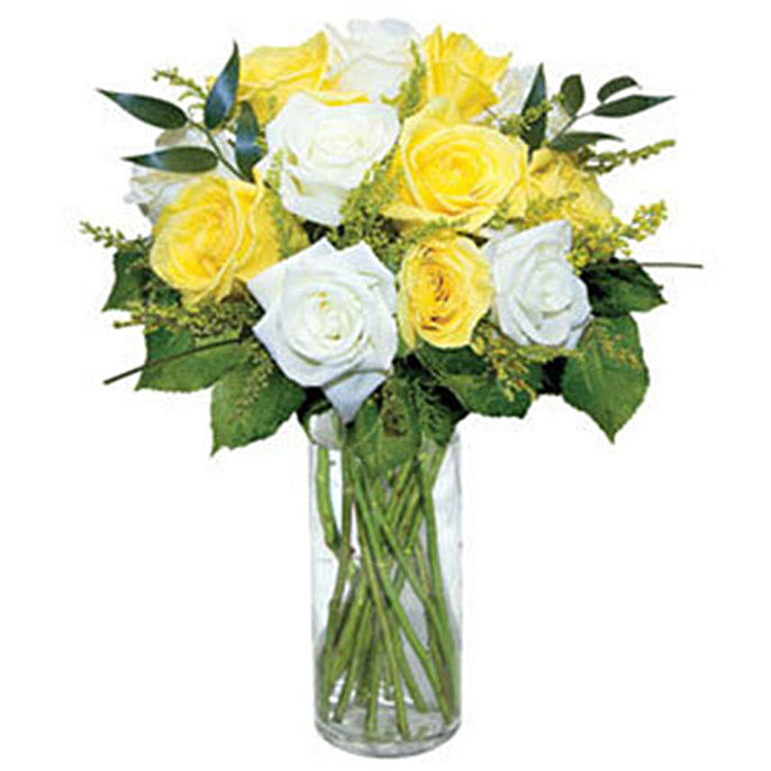 12 Long Stem Yellow and White Roses
