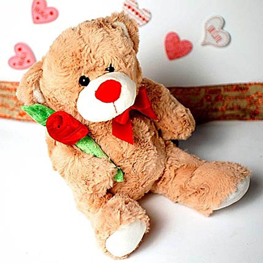 Accept my Love Teddy Bear